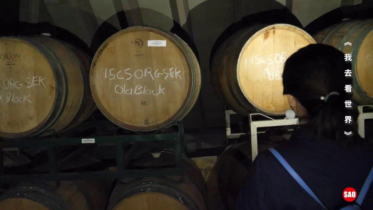 葡萄酒为什么放越久越好喝,干红葡萄酒放的时间多久好喝