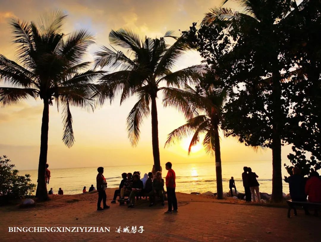 海南乐东九所康养度假村,海南乐东九所康养基地有哪些