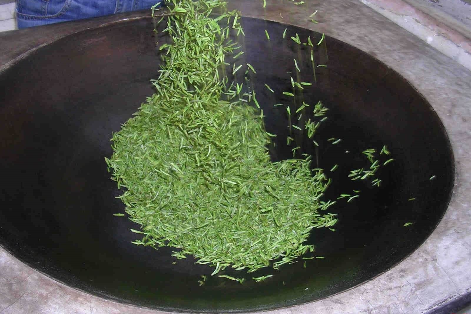 浙江56元一斤的碧螺春是真的吗,明前600一斤碧螺春价格高吗