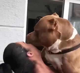 第一次人机大战电影,第一次人机战争