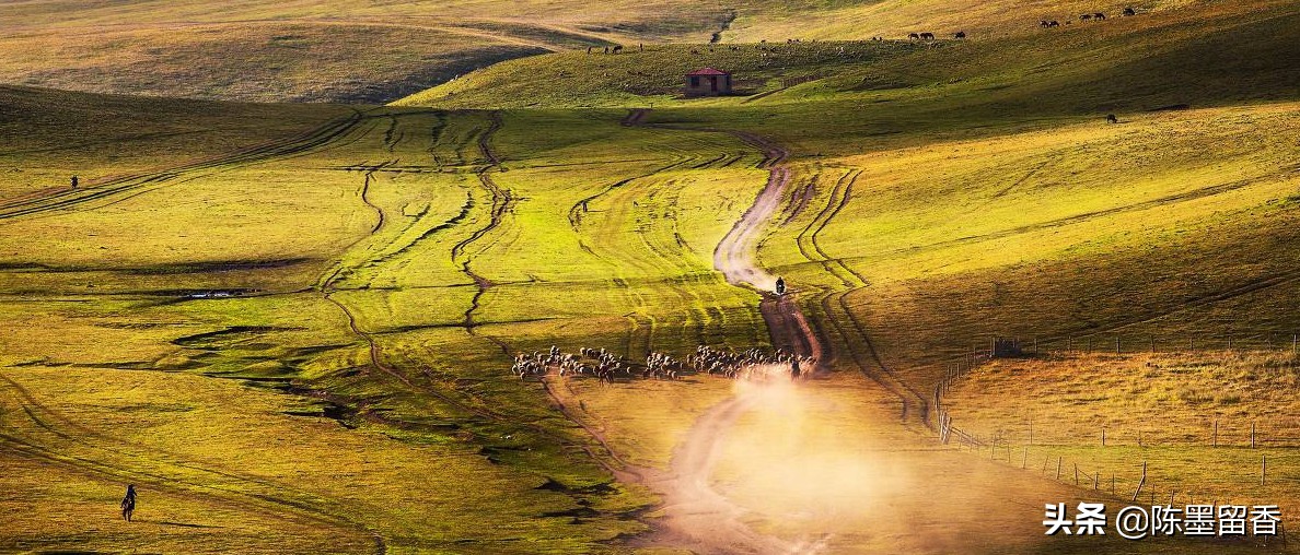 中国人为什么喜欢用“晓”取名?你“晓”得不?“晓”字大学问