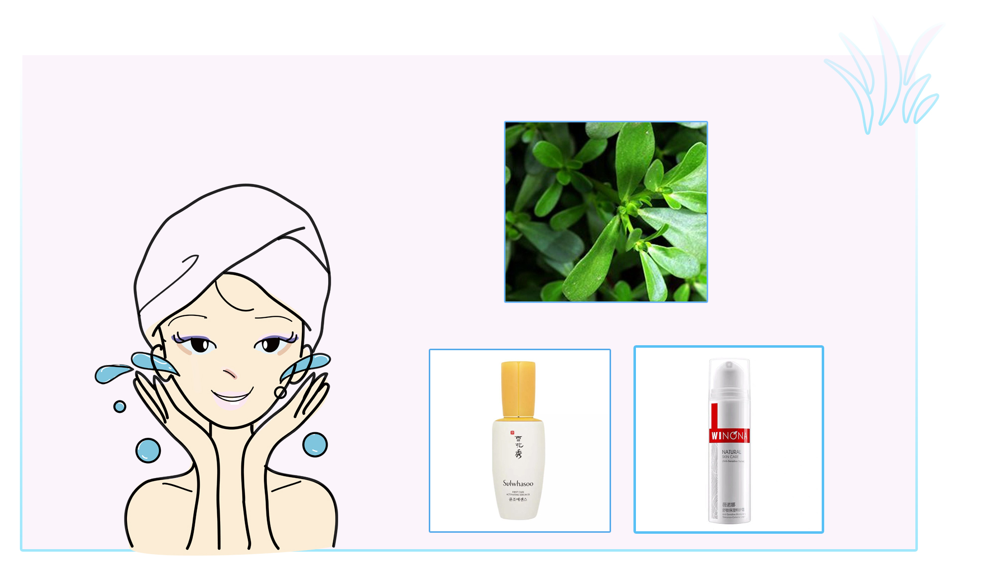 对皮肤好的护肤品成分有哪些 (最全护肤品成分科普用错皮肤敏感)