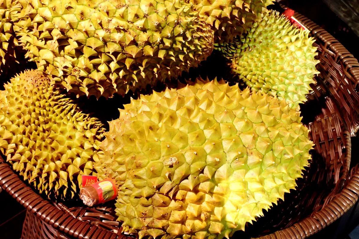 一个榴莲三只鸡的功效与作用,一个榴莲三只鸡真的假的