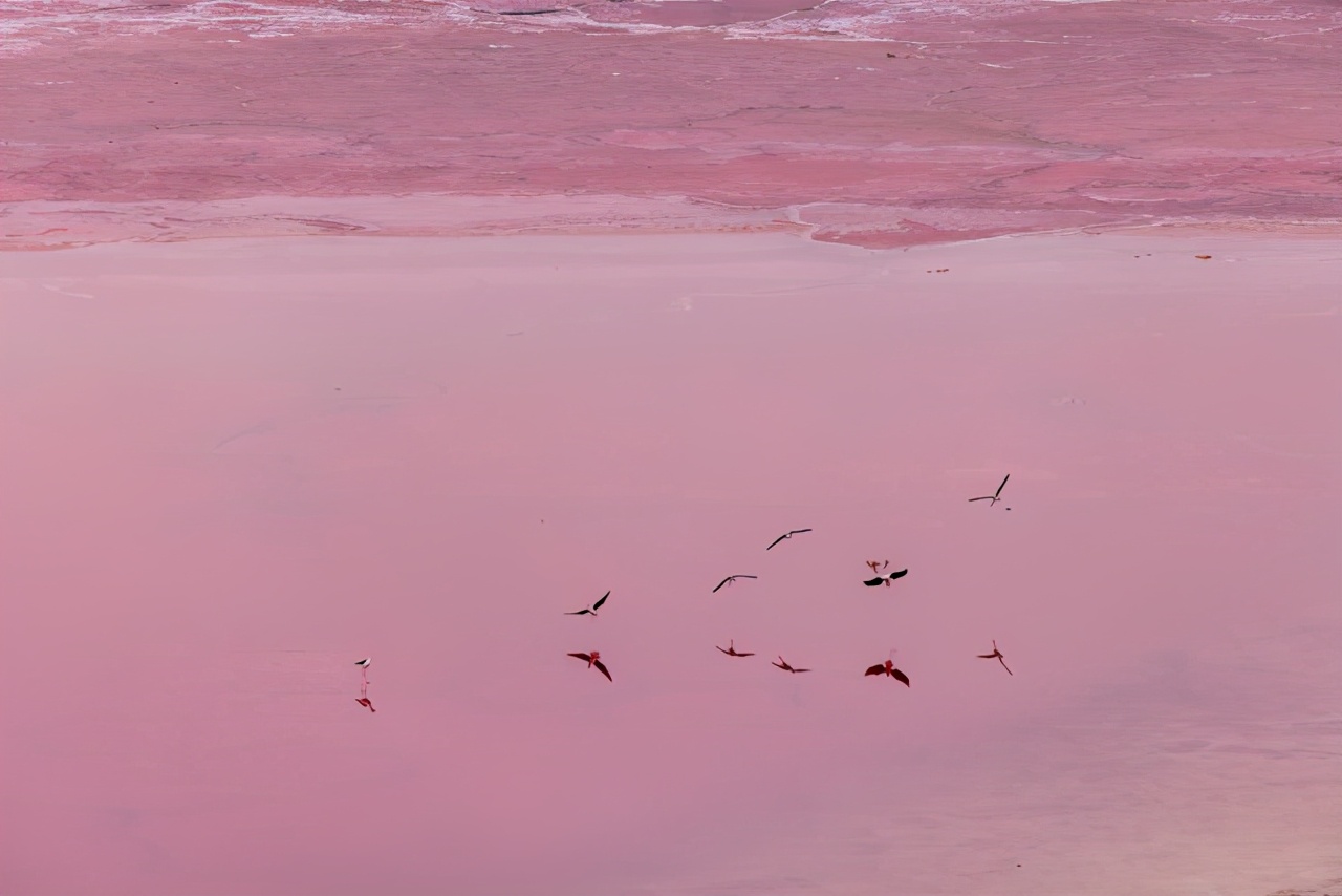 从青海到巴丹吉林沙漠,用实战解读EOSR5