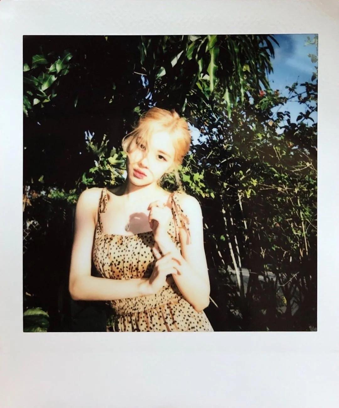 blackpink的朴彩英rosie,blackpink朴彩英澳洲玫瑰歌名