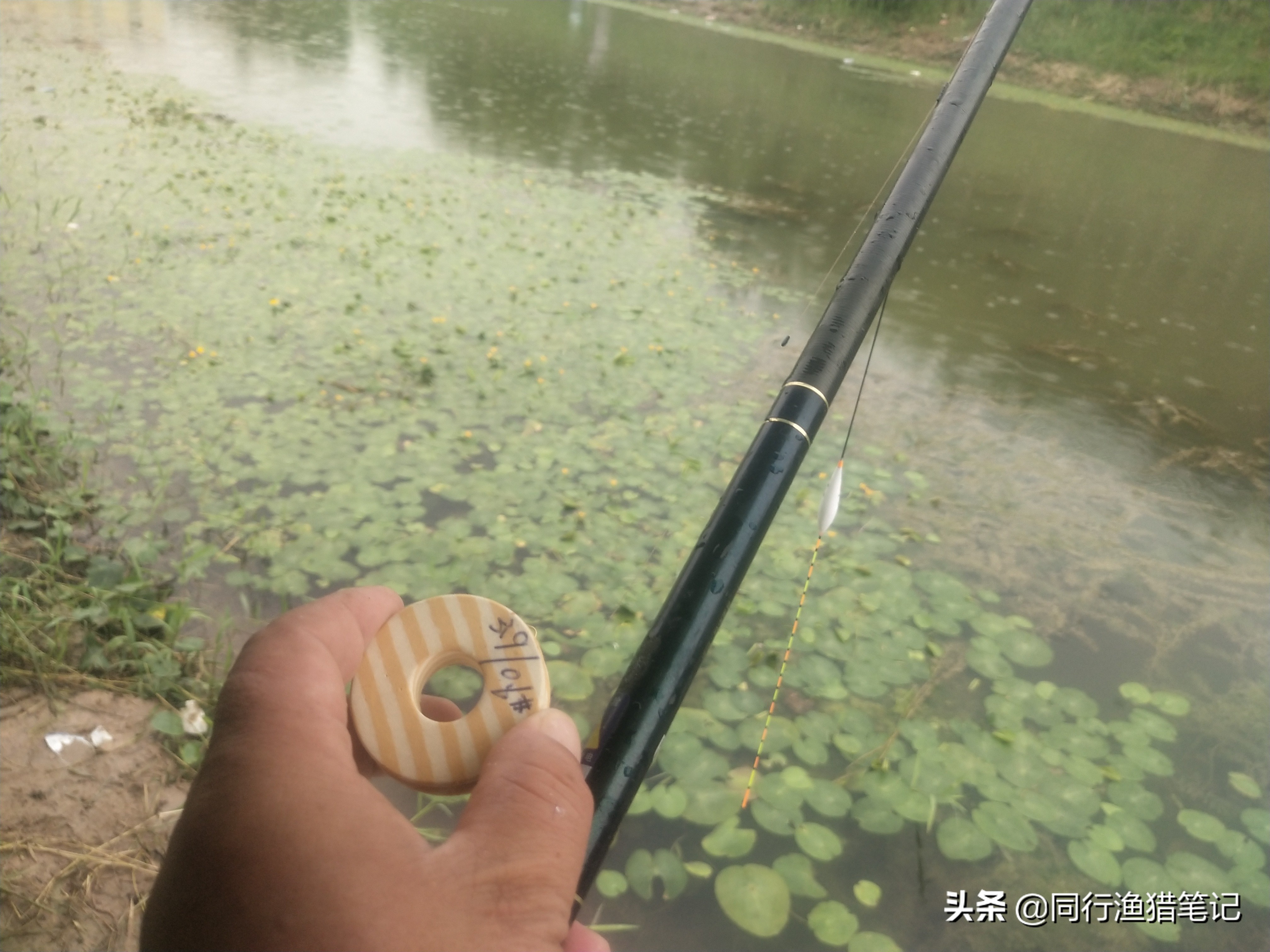 辟谣：用细线钓鱼就是细线钓法？不尽然，细线钓法只是相对概念