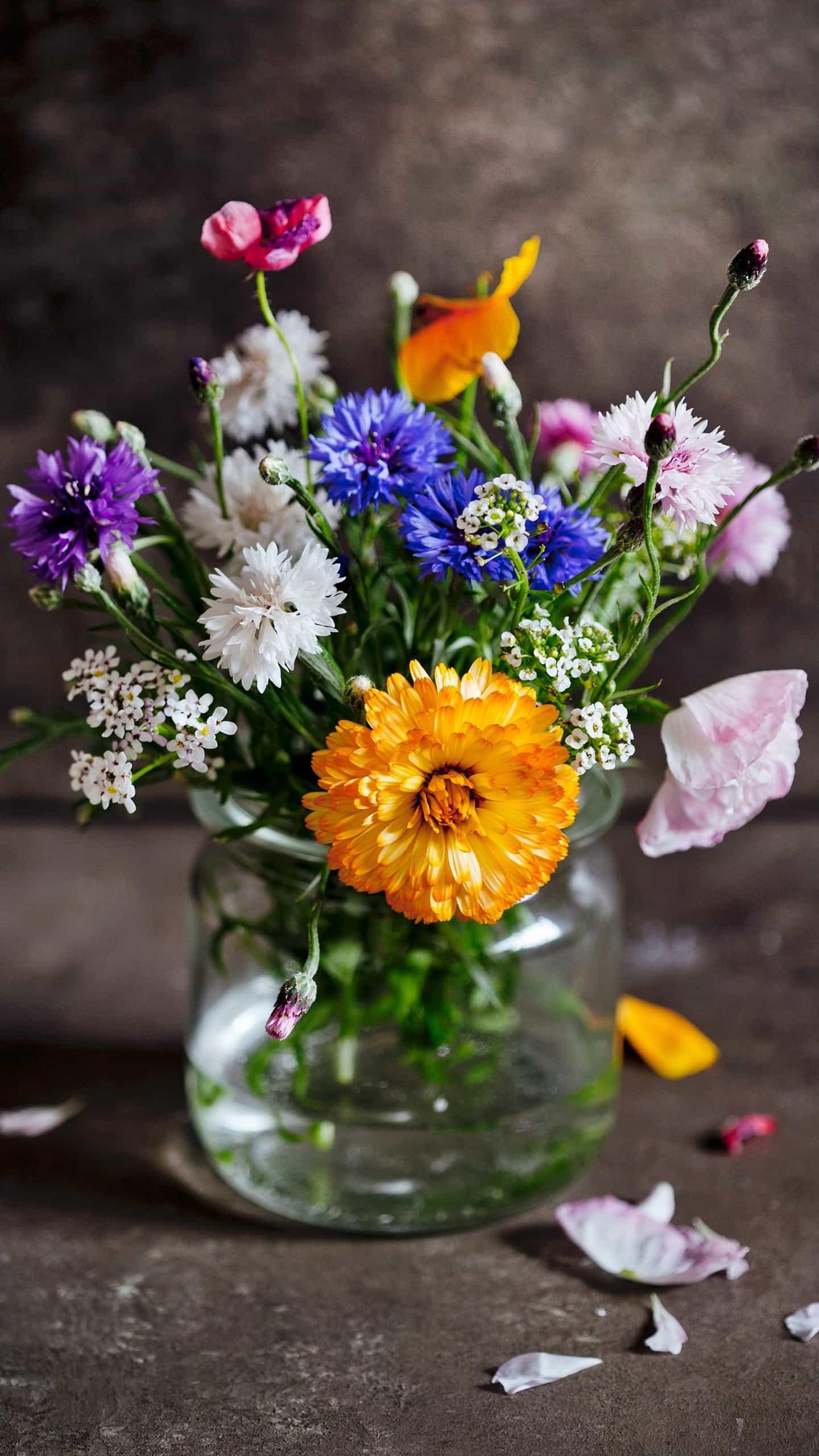 请家长注意：青春期女孩下腹痛不能忽视！