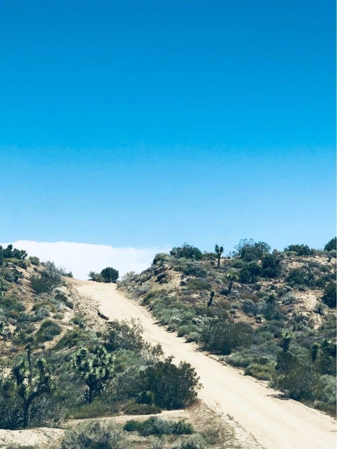 美国自由行加州洛杉矶之旅,美国洛杉矶20天旅游线路