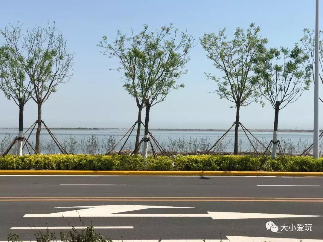 开放首日实探国家海洋博物馆，史上最抢手博物馆究竟长什么样