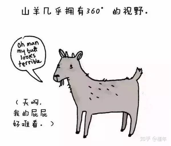 想象中不一样的动物冷知识,悲伤的动物视频