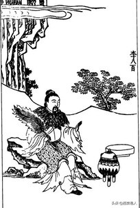 鑸旂柈,鑸旂棃鑸愮棓瀵撴剰