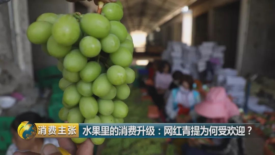 阳光玫瑰葡萄水果中爱马仕,阳光玫瑰葡萄有多贵