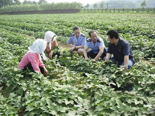 大连庄河这个城市怎么样,大连庄河前景如何