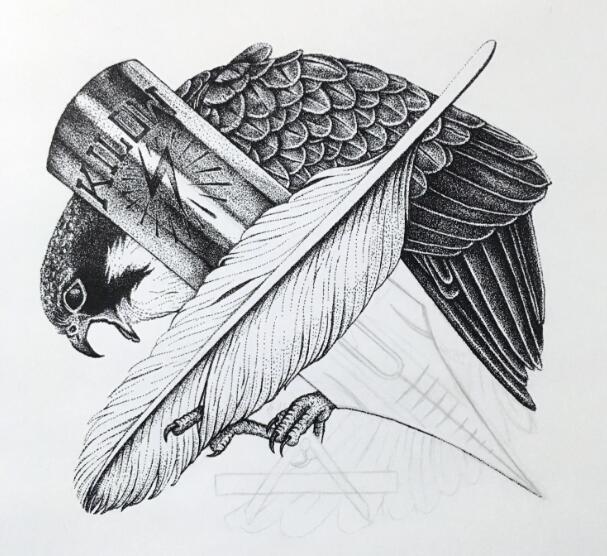 画漫画入门要学多久,学画漫画要用什么工具