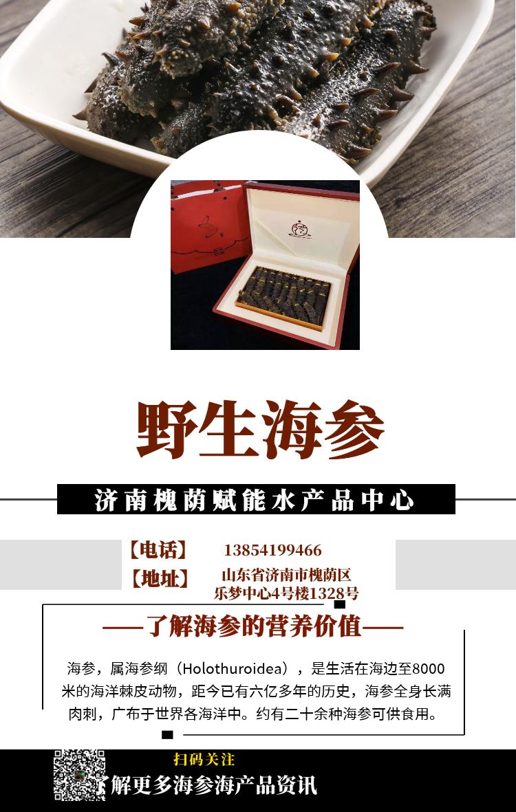 海参属于什么菜系,海参是山东特产吗