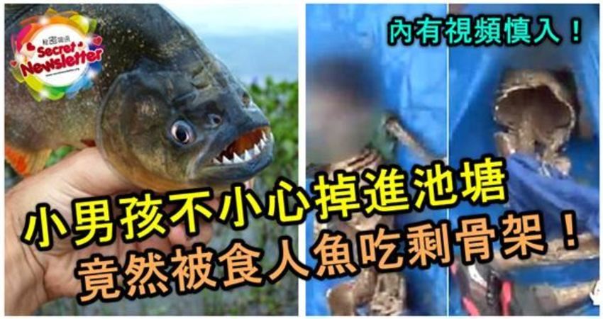 为什么人们不敢在亚马逊河游泳,亚马逊河多可怕没有一座桥