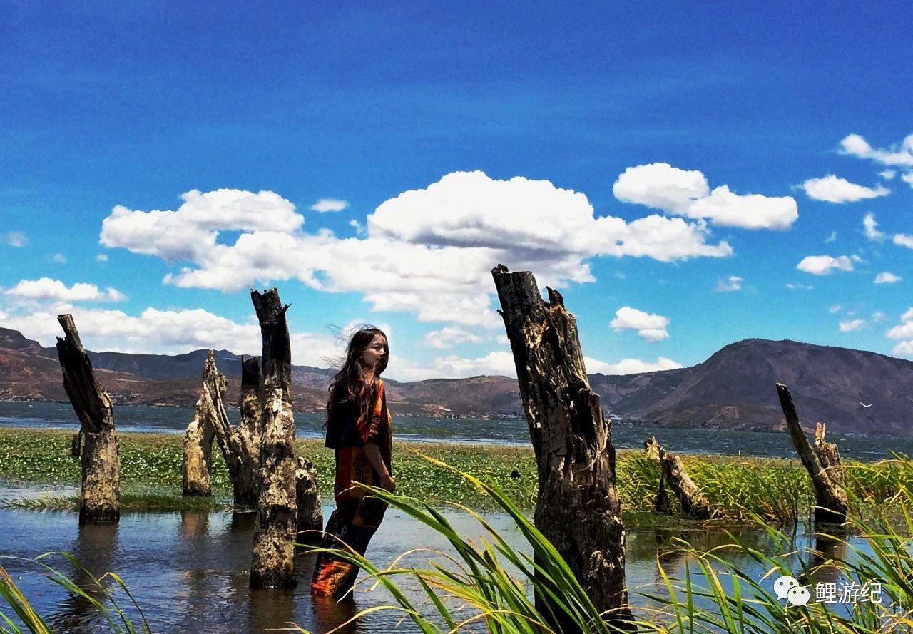 环海公路好看的图片,西南风景图片横图