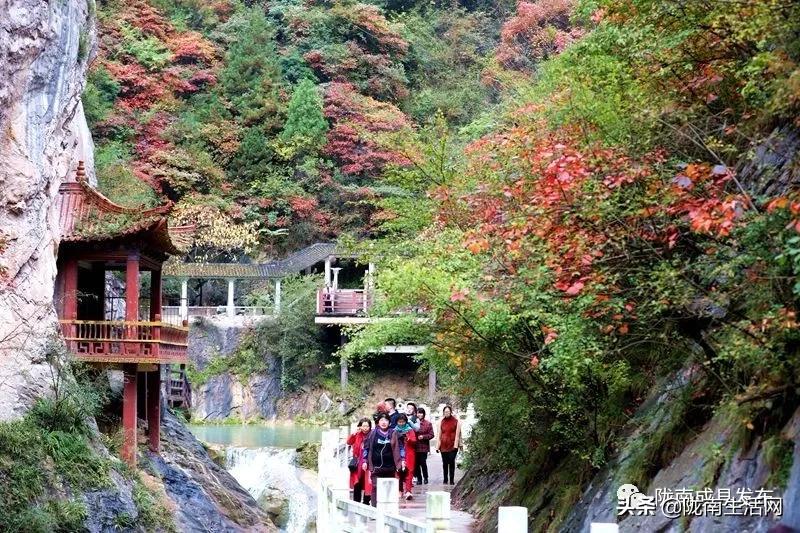 我叫成县,这是我2019年的自拍照