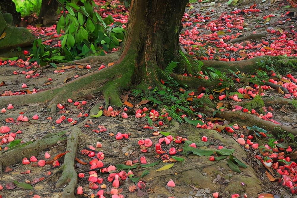 姘存灉鐨囧笣,鍗楀寳姘存灉鐨囧笣