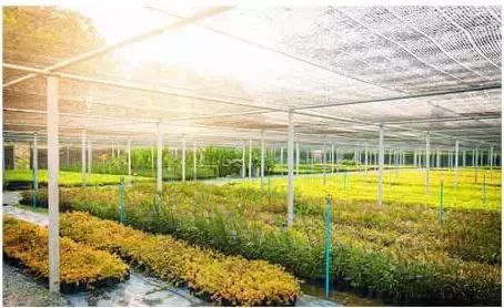 新型农庄发展趋势,特色农庄发展问题