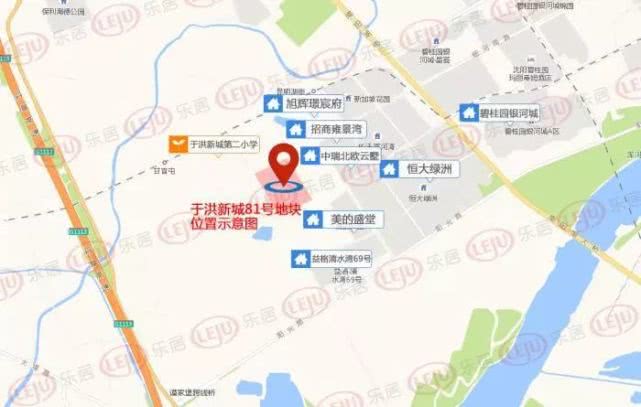 于洪新城92号地参与土拍房企,41家房企争抢一宗限价地
