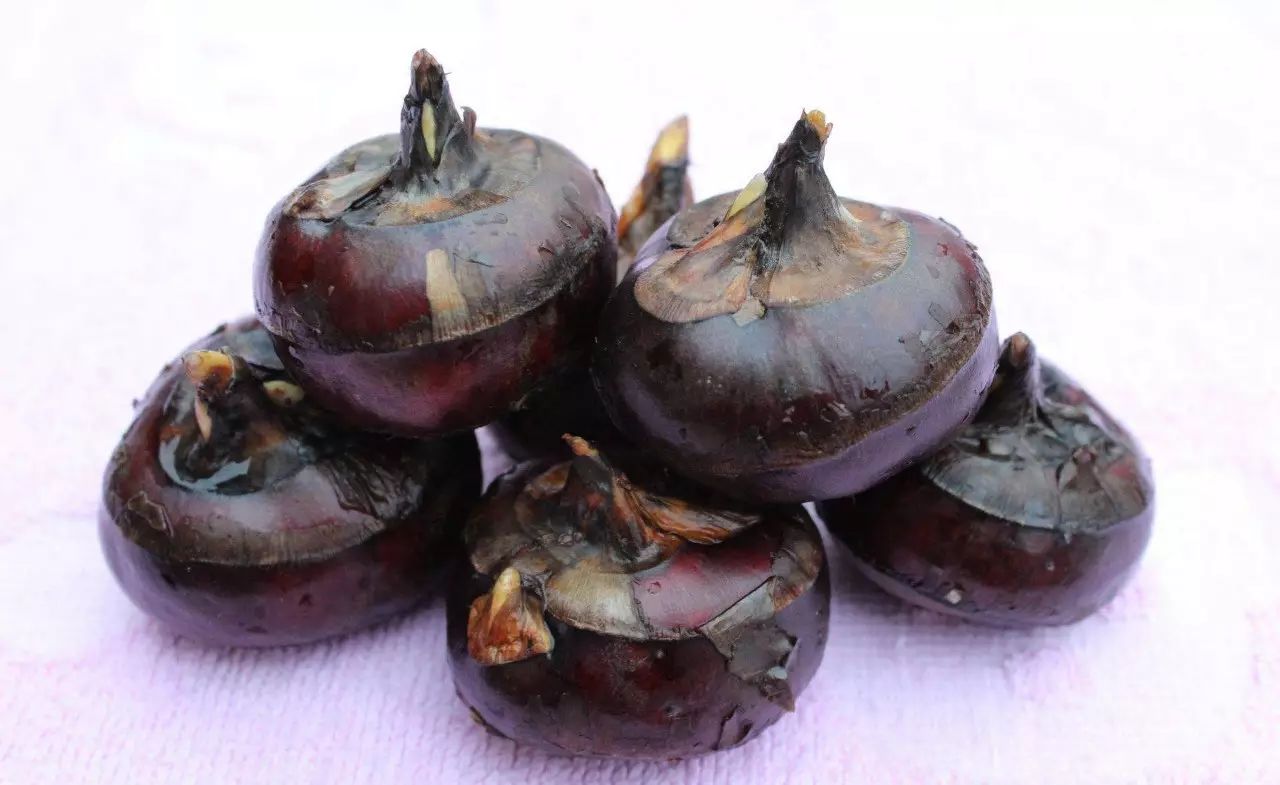 你们家乡话管这个东西叫什么名字,你们家乡话管这个东西叫什么