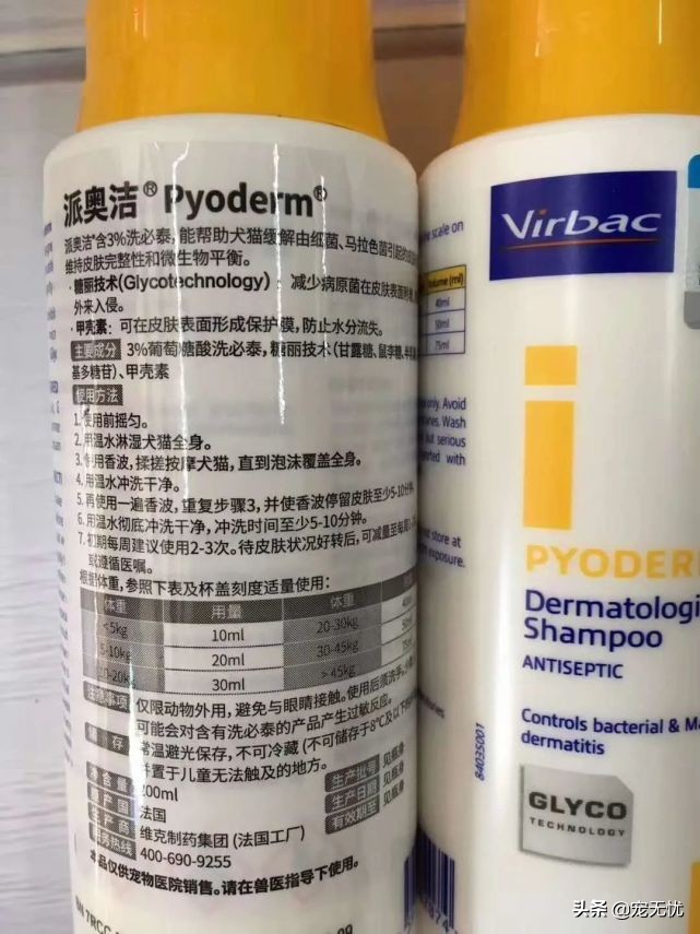 猫咪感染猫癣？不要急，这篇文章全部给你解决