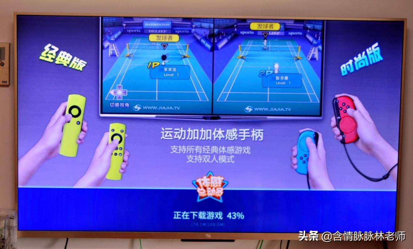 switch暗黑3野蛮人旋风流装备搭配,Switch体感游戏需要什么配件