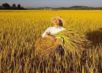 马云预言未来的20年农村6大机遇,马云预言农村未来什么最好