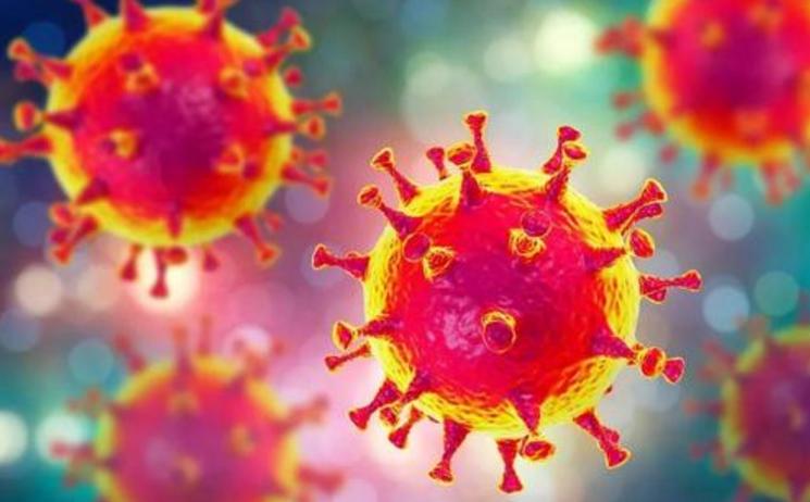 冠状病毒的来源大揭秘最新进展,冠状病毒发源地到底是怎么来的