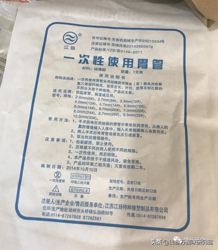 刚生的小猫母猫不在如何照顾,早产没长毛的小猫怎么救活