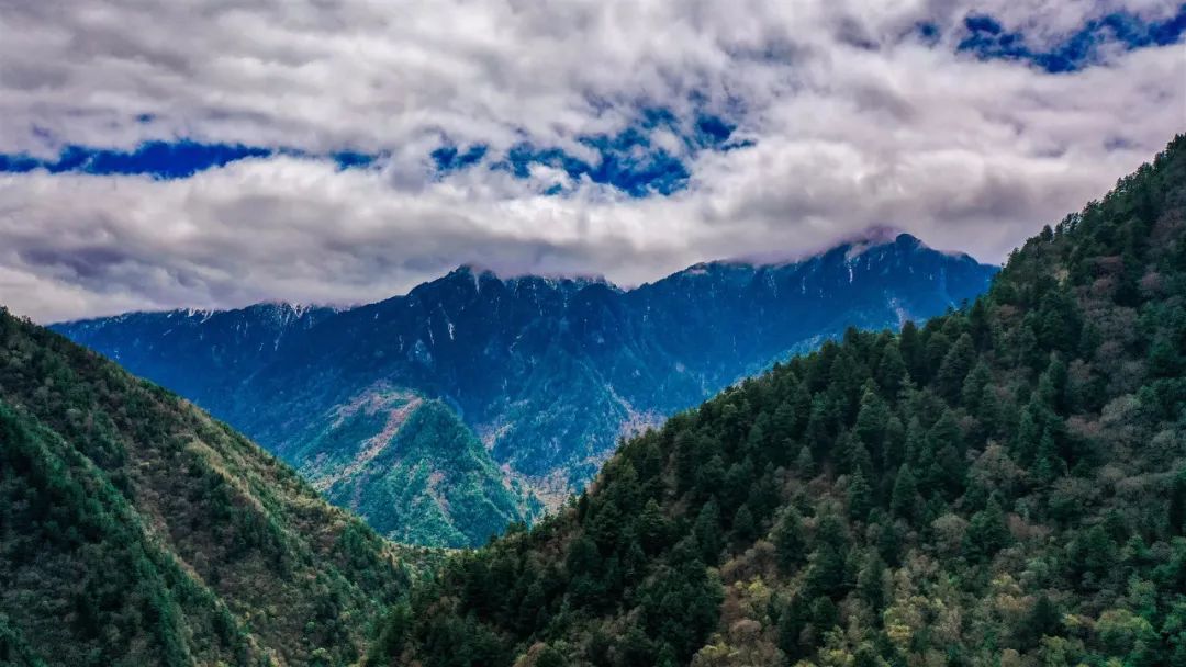 暑假来了！这个安全又宝藏的川西仙境，夏天只有15°
