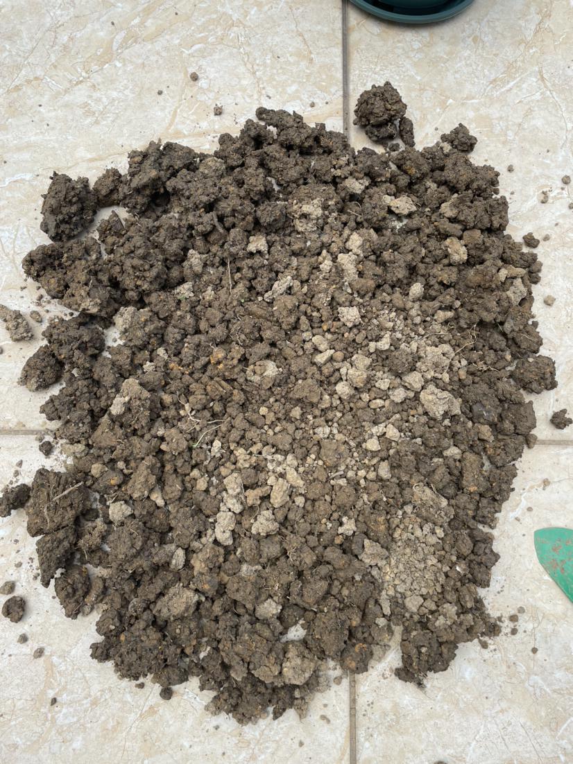 不花钱自制养花土可以吗,养花用过的旧土怎么处理