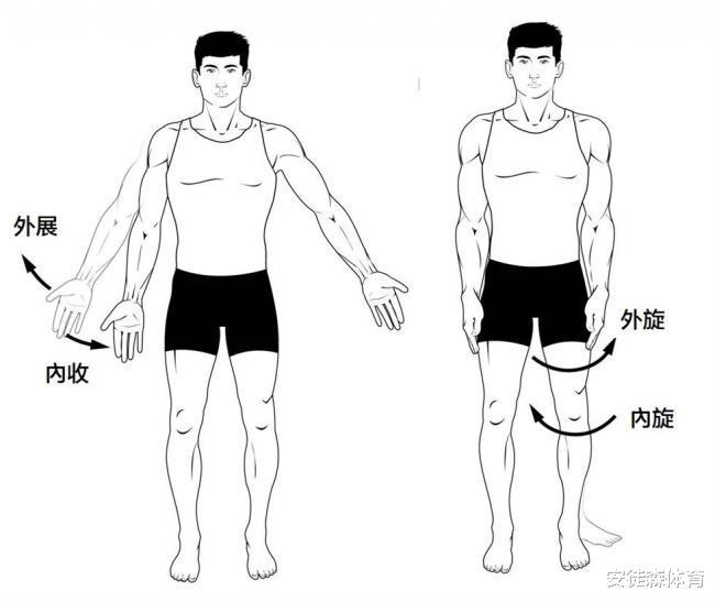 每天锻炼拉伸动作,每天拉筋10个方法