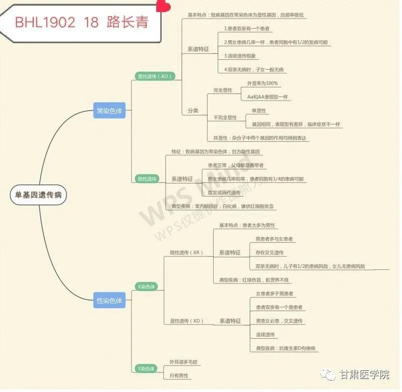 甘中医最新消息,甘中医博士生导师
