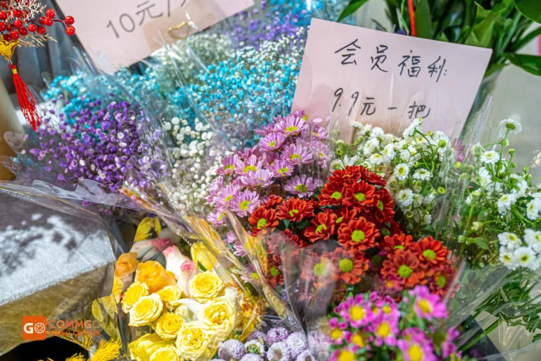 重庆最大的花市在哪里,重庆花市排名前十名