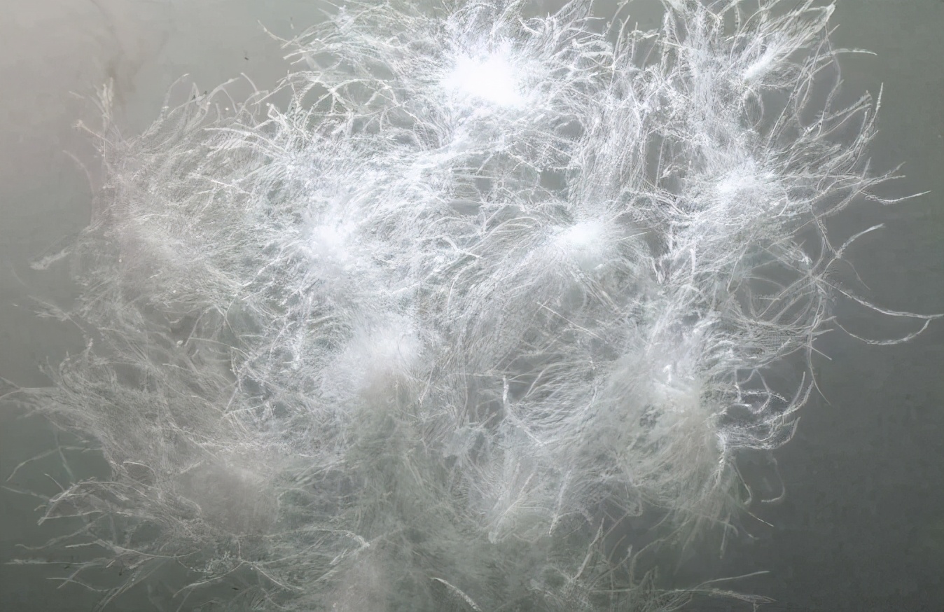 7-12岁适合乳胶枕还是荞麦枕,羽绒枕头和荞麦枕哪个好