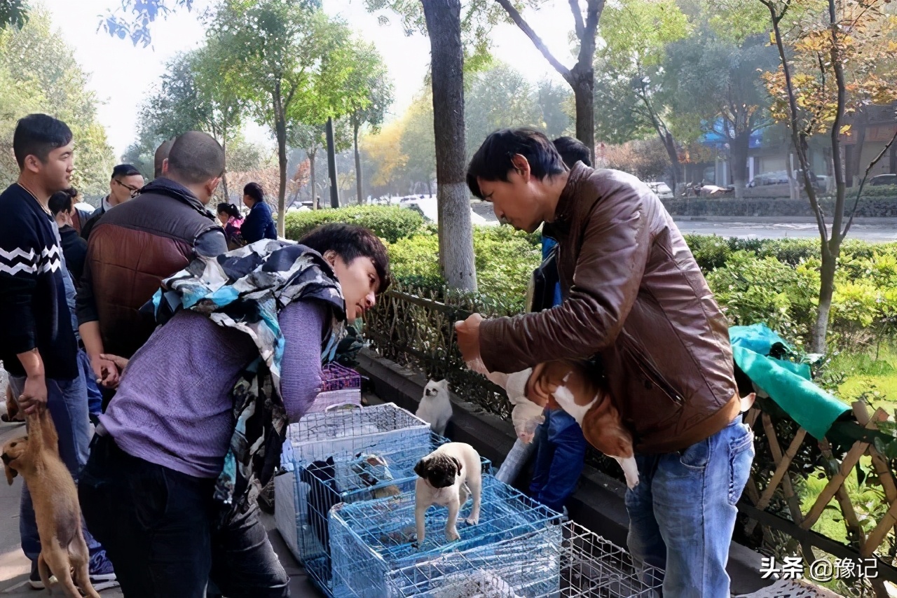 有钱没钱过得舒心就好,有钱没钱吃好穿好都不重要