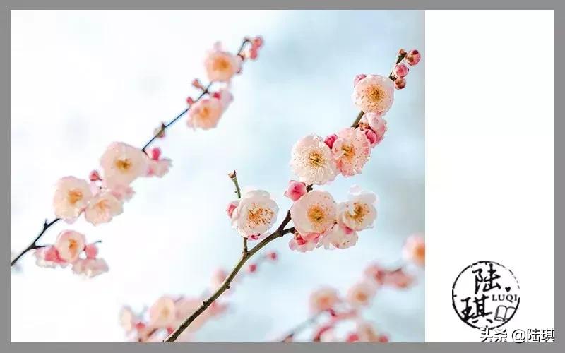 情侣吵架怎么安慰全过程,最全急救手册44种急救措施送给你