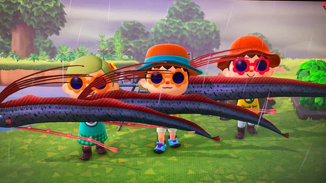 动森两个人玩,动森多大年纪的人在玩