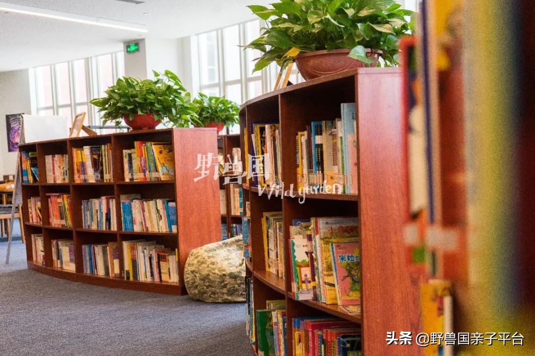 清澜山学校什么档次,入读清澜山学校需要什么条件