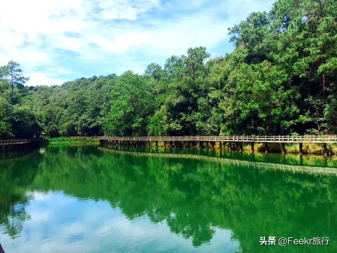 被刘昊然种草的云南小城，全网0攻略，我们花不到2k就逛吃6天