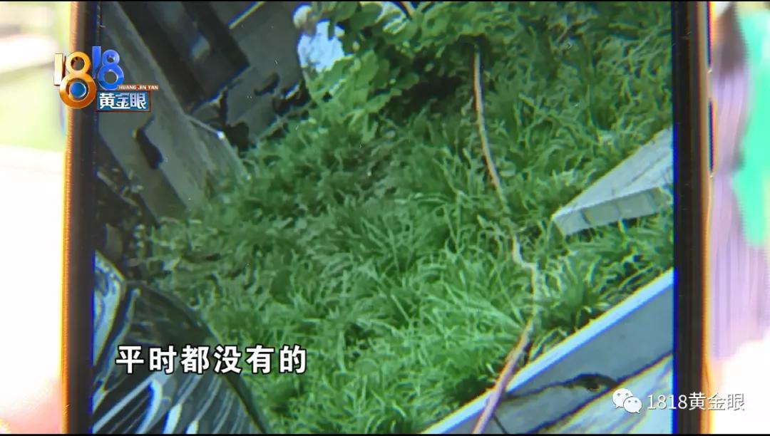 母女骑电动车过马路被撞,母女骑电动车被人撞