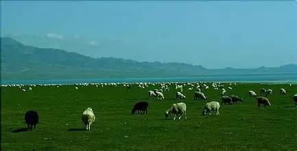 新十八怪,最新十八怪