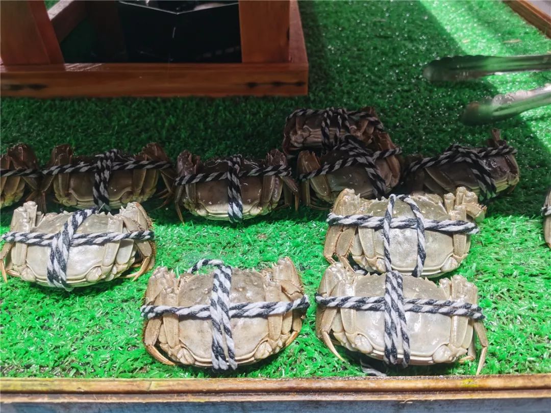 鏃犻敗鎹℃紡,韫茬偣鎺㈠簵