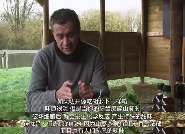 800一斤的菜,800元一斤的东西是什么