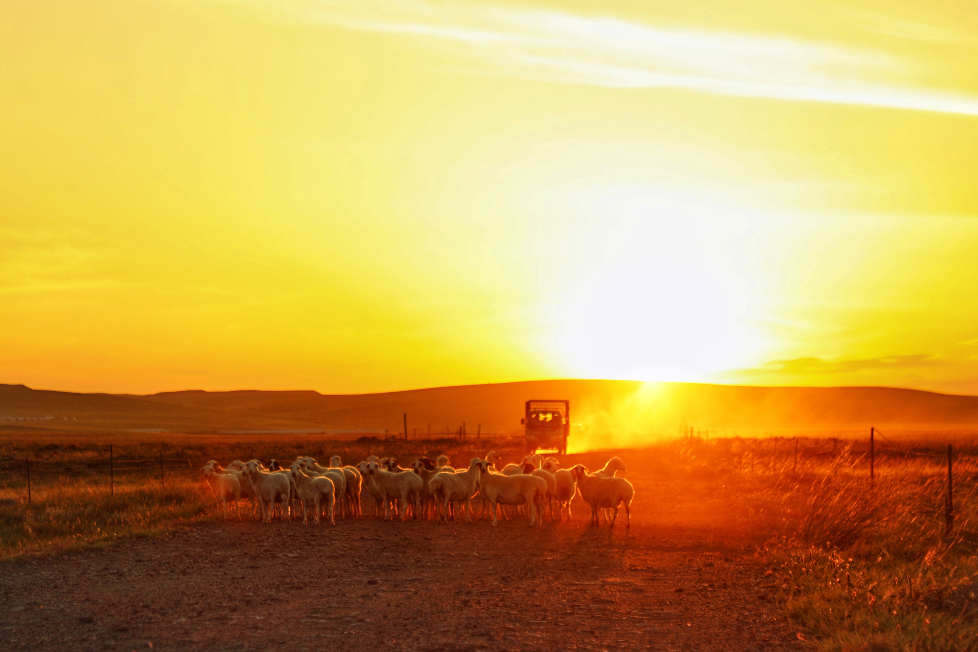 锡林郭勒大草原3天旅游攻略,锡林郭勒大草原五日游推荐