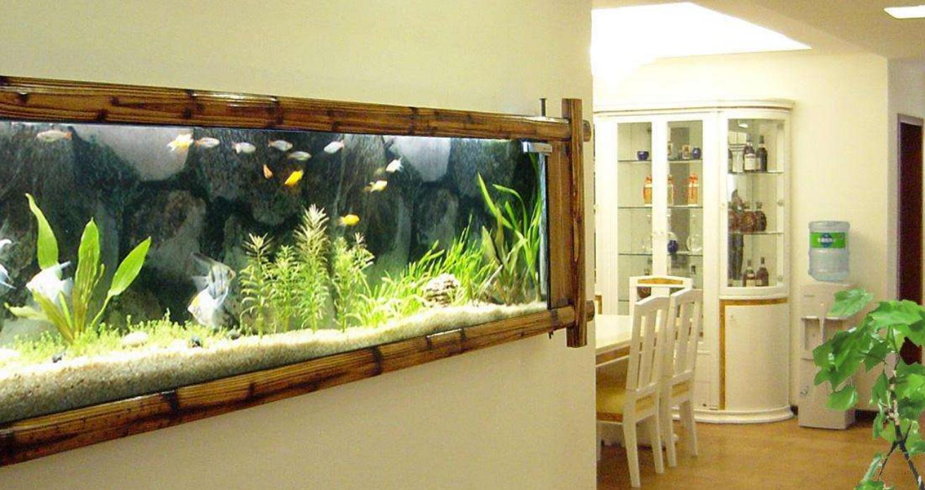 鱼缸噪音太吵怎么解决,鱼缸底滤噪音大还是上过滤噪音大