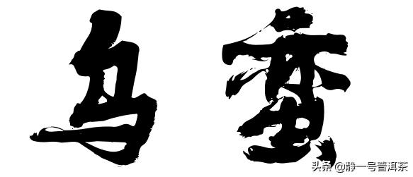 茶出银生无量山,茶出银生