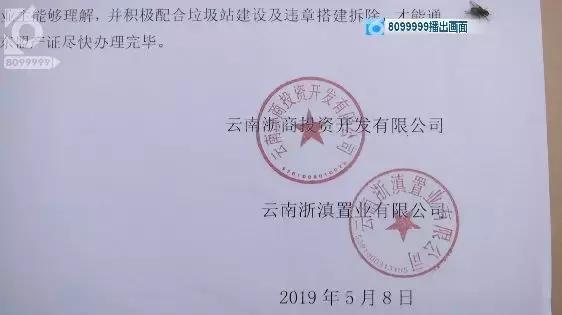 东盟森林最近新闻,东盟森林小区冲突事件